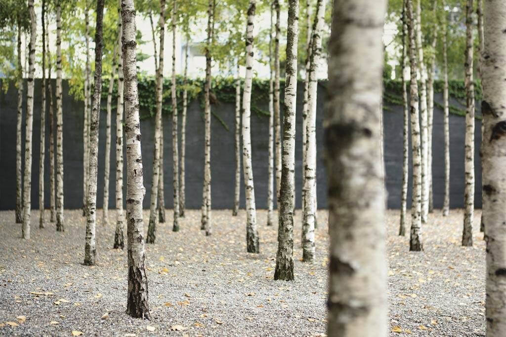 Über uns – Greulich